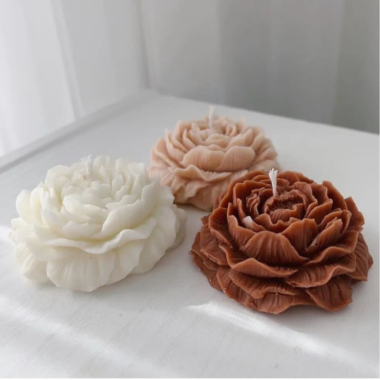 قالب سیلیکونی